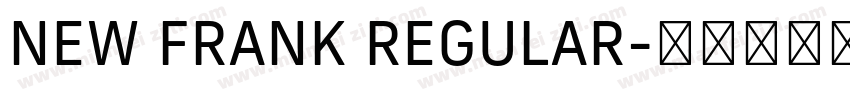 NEW FRANK REGULAR字体转换